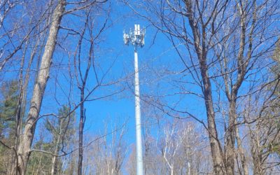 Verizon Files Legal Action Against Pittsfield Board of Health for Cell Tower Emergency Order