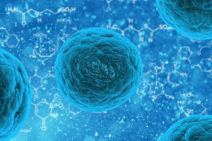 stem-cell-163711_1280